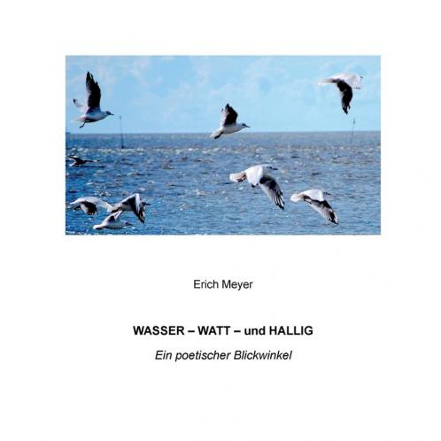 Wasser - Watt - und Hallig