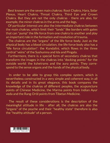 The Chakra System with the Minor Chakras