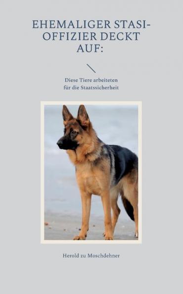 Ehemaliger Stasi-Offizier deckt auf