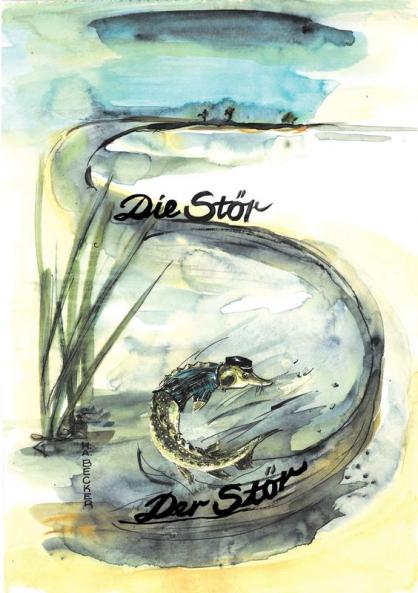 Die Stör  Der Stör
