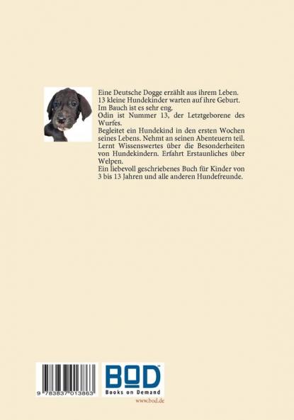 Welpe Nummer 13  Ein Hundekind erzählt aus seinem Leben Die Geschichte einer Deutschen Dogge