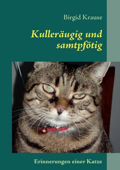 Kulleräugig und samtpfötig