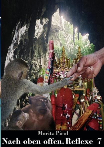 Nach oben offen. Reflexe  7