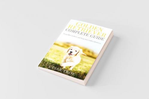 Golden Retriever Complete Guide