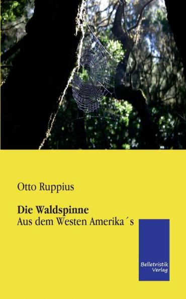 Die Waldspinne