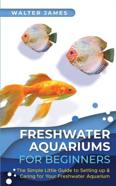 Freshwater Aquariums for Beginners