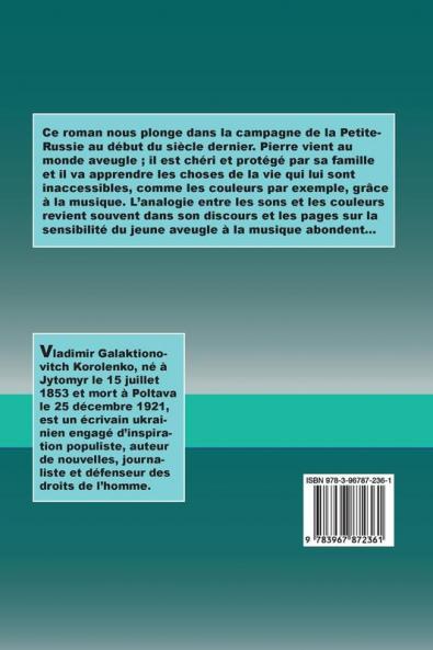 Le Musicien aveugle