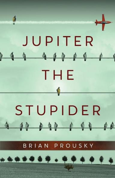 Jupiter the Stupider