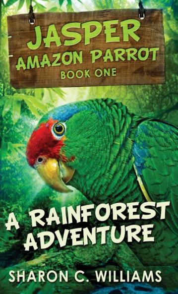A Rainforest Adventure