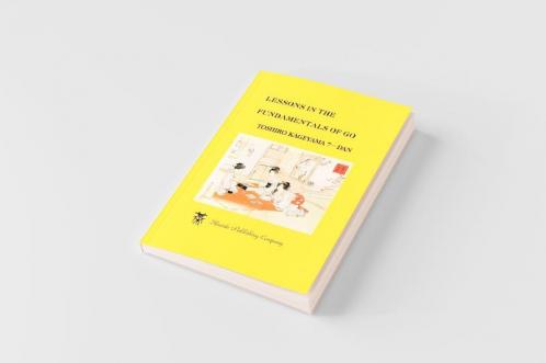 Lessons in the Fundamentals of Go