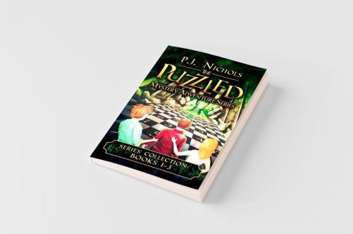 The Puzzled Mystery Adventure Series