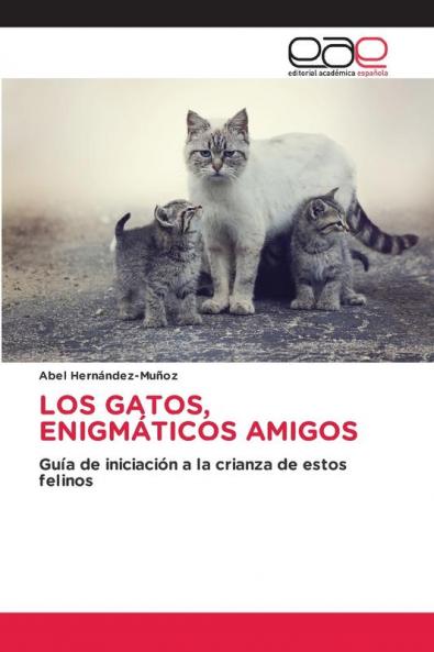 LOS GATOS ENIGMÁTICOS AMIGOS