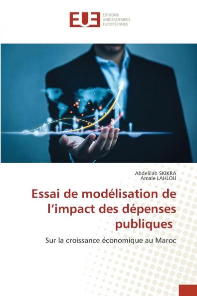 Essai de modélisation de l'impact des dépenses publiques