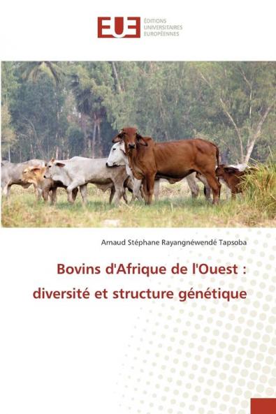 Bovins d'Afrique de l'Ouest