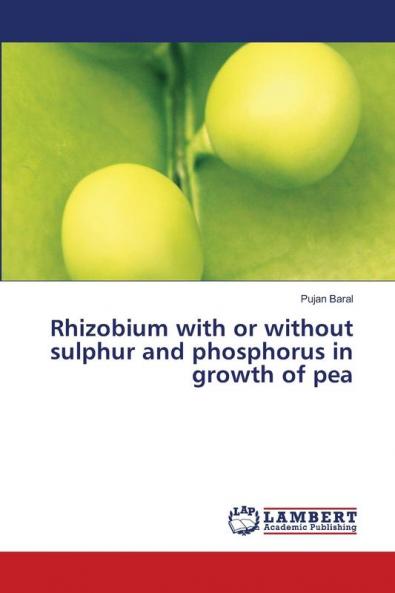 Rhizobium with or without sulphur and phosphorus in growth of pea