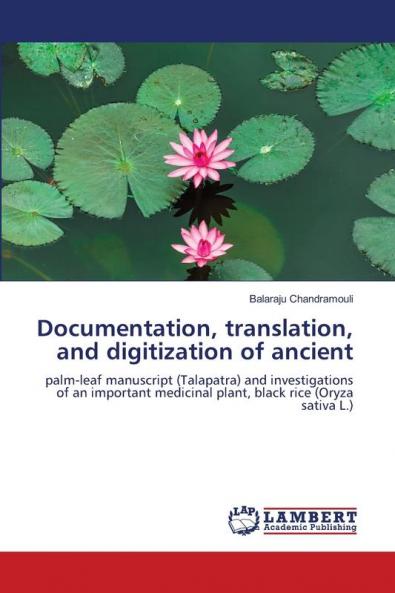 Documentation translation and digitization of ancient