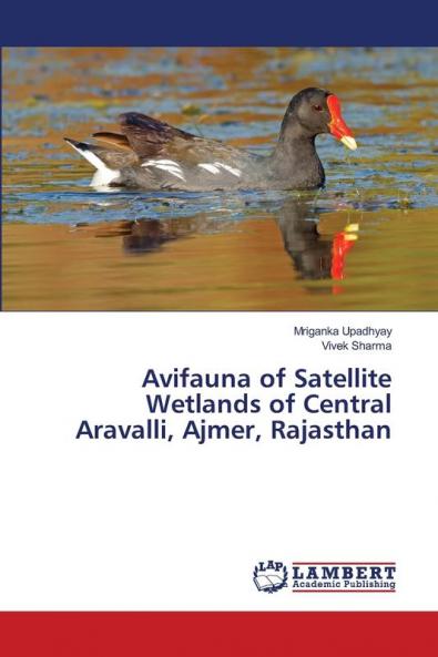 Avifauna of Satellite Wetlands of Central Aravalli Ajmer Rajasthan
