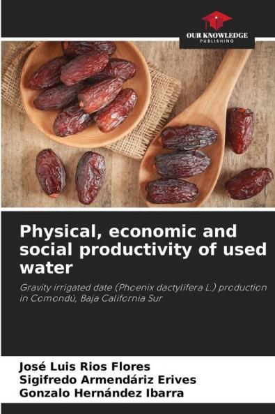 Physical economic and social productivity of used water