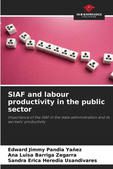 SIAF and labour productivity in the public sector