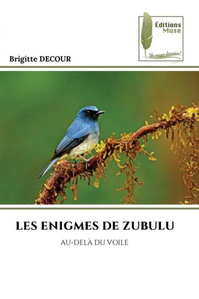LES ENIGMES DE ZUBULU