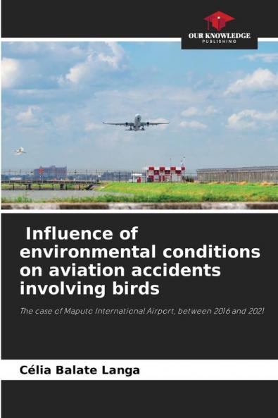 Influence of environmental conditions on aviation accidents involving birds