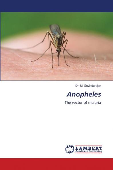 Anopheles