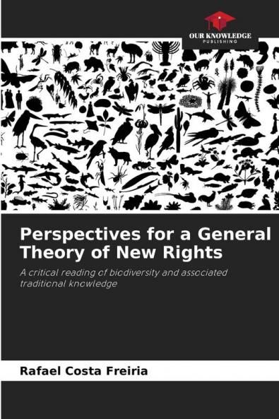 Perspectives for a General Theory of New Rights