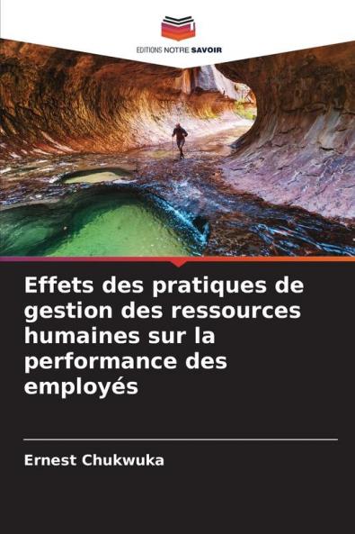 Effets des pratiques de gestion des ressources humaines sur la performance des employés