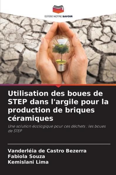 Utilisation des boues de STEP dans l'argile pour la production de briques céramiques