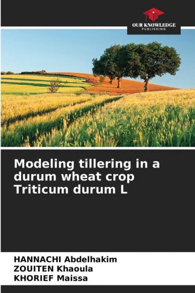 Modeling tillering in a durum wheat crop Triticum durum L