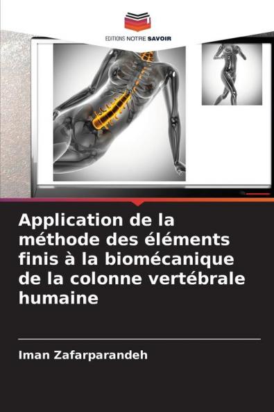 Application de la méthode des éléments finis à la biomécanique de la colonne vertébrale humaine