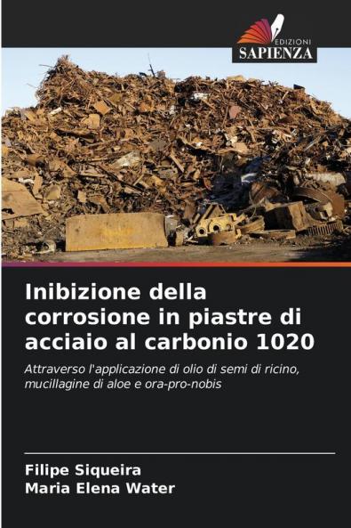 Inibizione della corrosione in piastre di acciaio al carbonio 1020