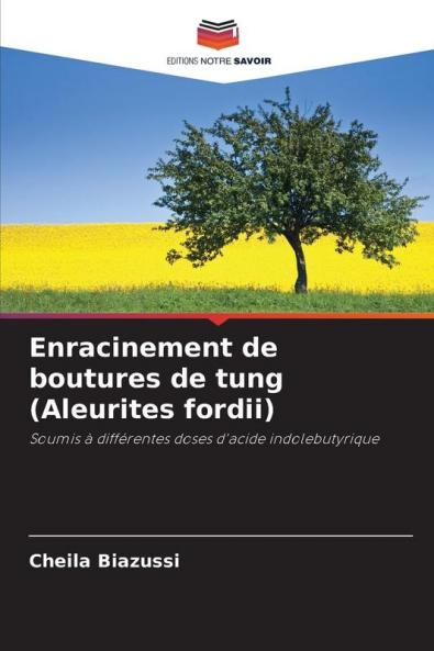 Enracinement de boutures de tung (Aleurites fordii)