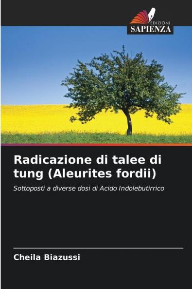 Radicazione di talee di tung (Aleurites fordii)
