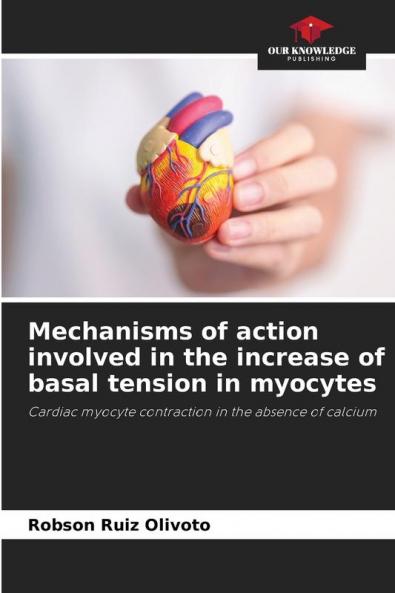 Mechanisms of action involved in the increase of basal tension in myocytes
