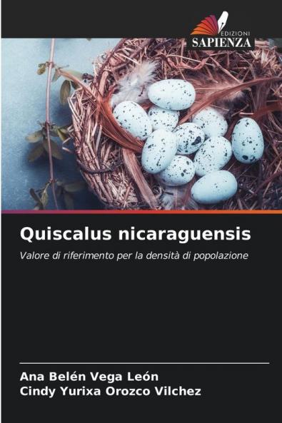 Quiscalus nicaraguensis