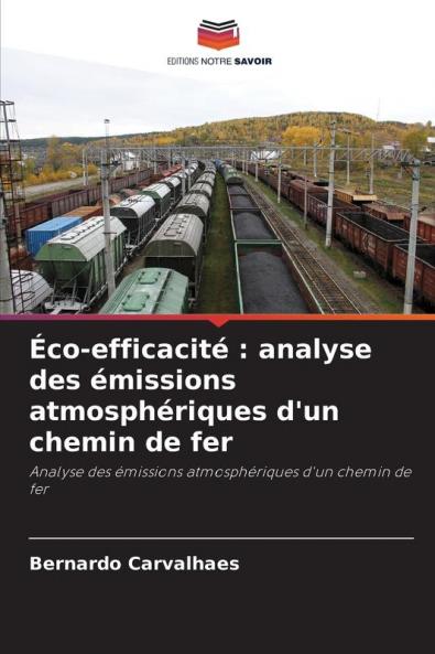 Éco-efficacité