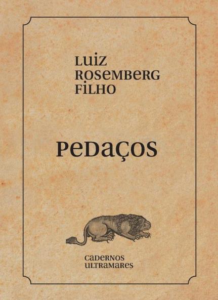 Pedaços (Portuguese Edition)