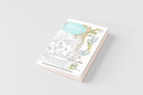 BIRDS Coloring Book