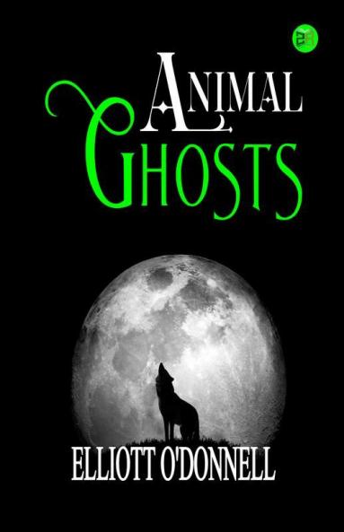 Animal Ghosts