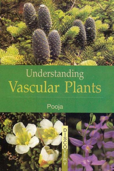 UNDERSTANDING  VASCULAR PLANTS