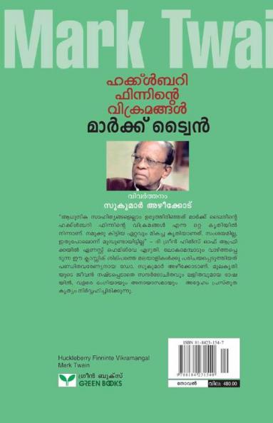 huckleberry finninte vikramangal