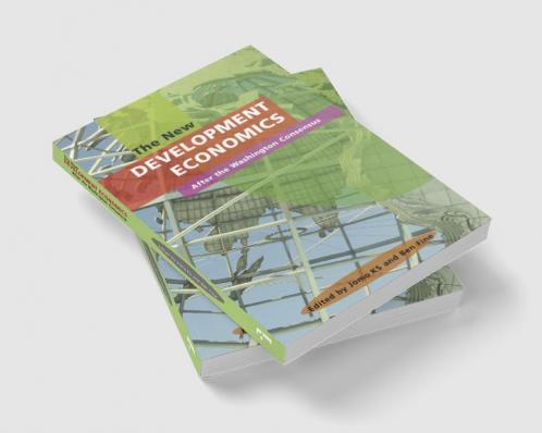 The New Development Economics: After the Washington Consensus