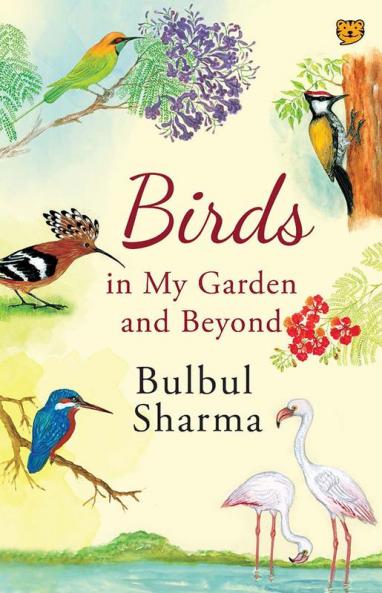 Birds in my garden and beyond