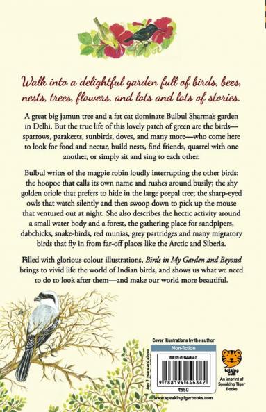 Birds in my garden and beyond