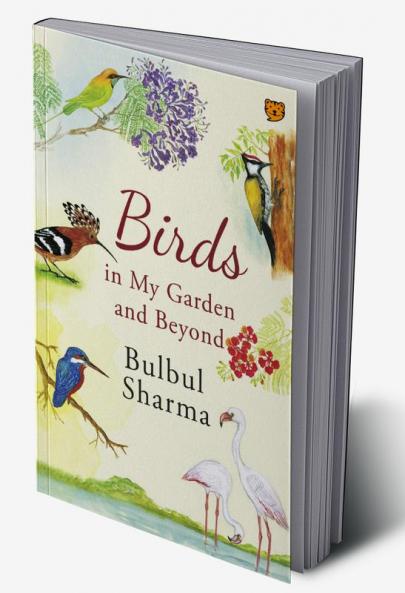 Birds in my garden and beyond