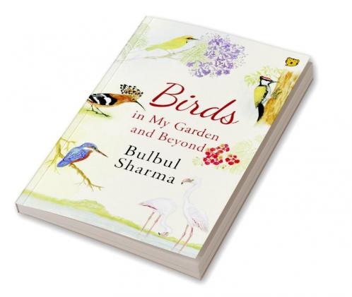 Birds in my garden and beyond