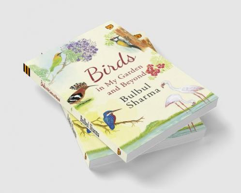 Birds in my garden and beyond