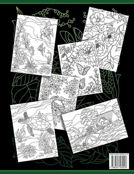 Coloring Books For Adults Volume 6