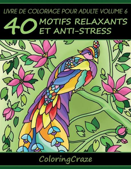 Livre de coloriage pour adulte Volume 6